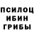 Псилоцибиновые грибы Magic Shrooms Sasha Zic
