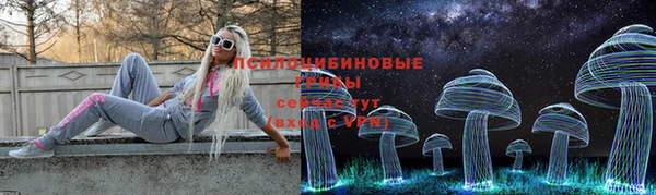 винт Баксан