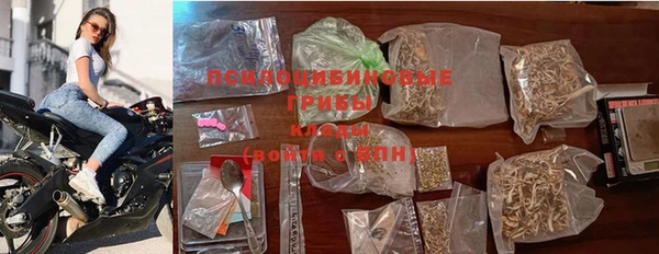 винт Баксан